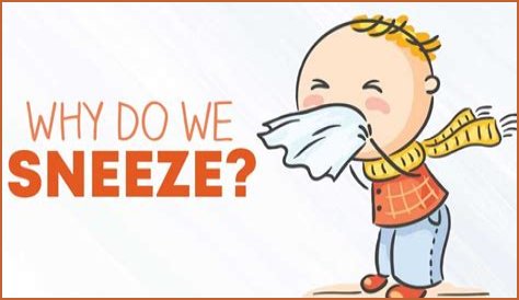 Why do I sneeze before I poop?